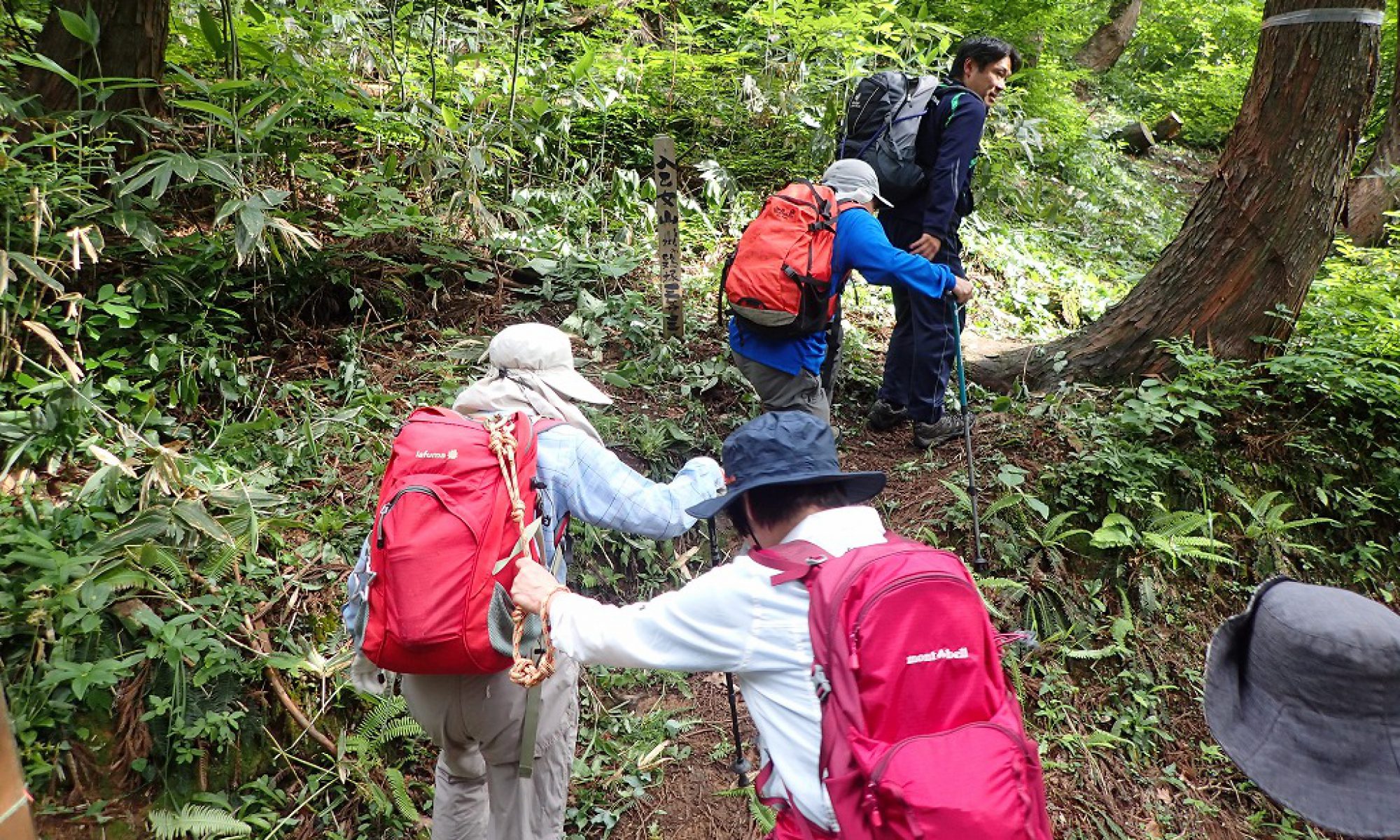 富山県障害者スポーツ協会