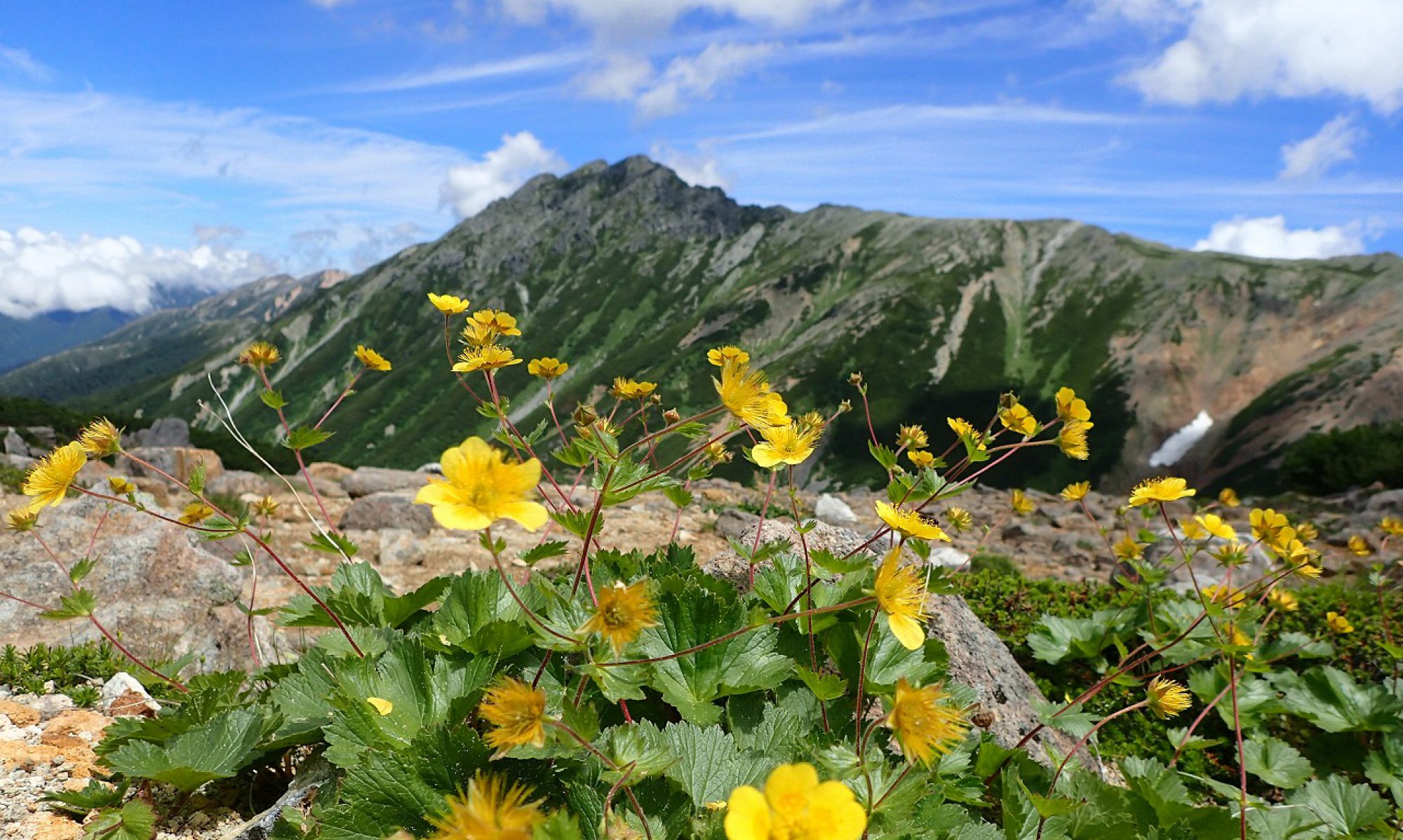 富山県障害者スポーツ協会