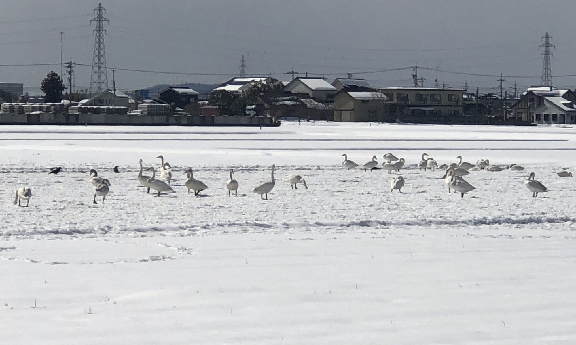 富山県障害者スポーツ協会