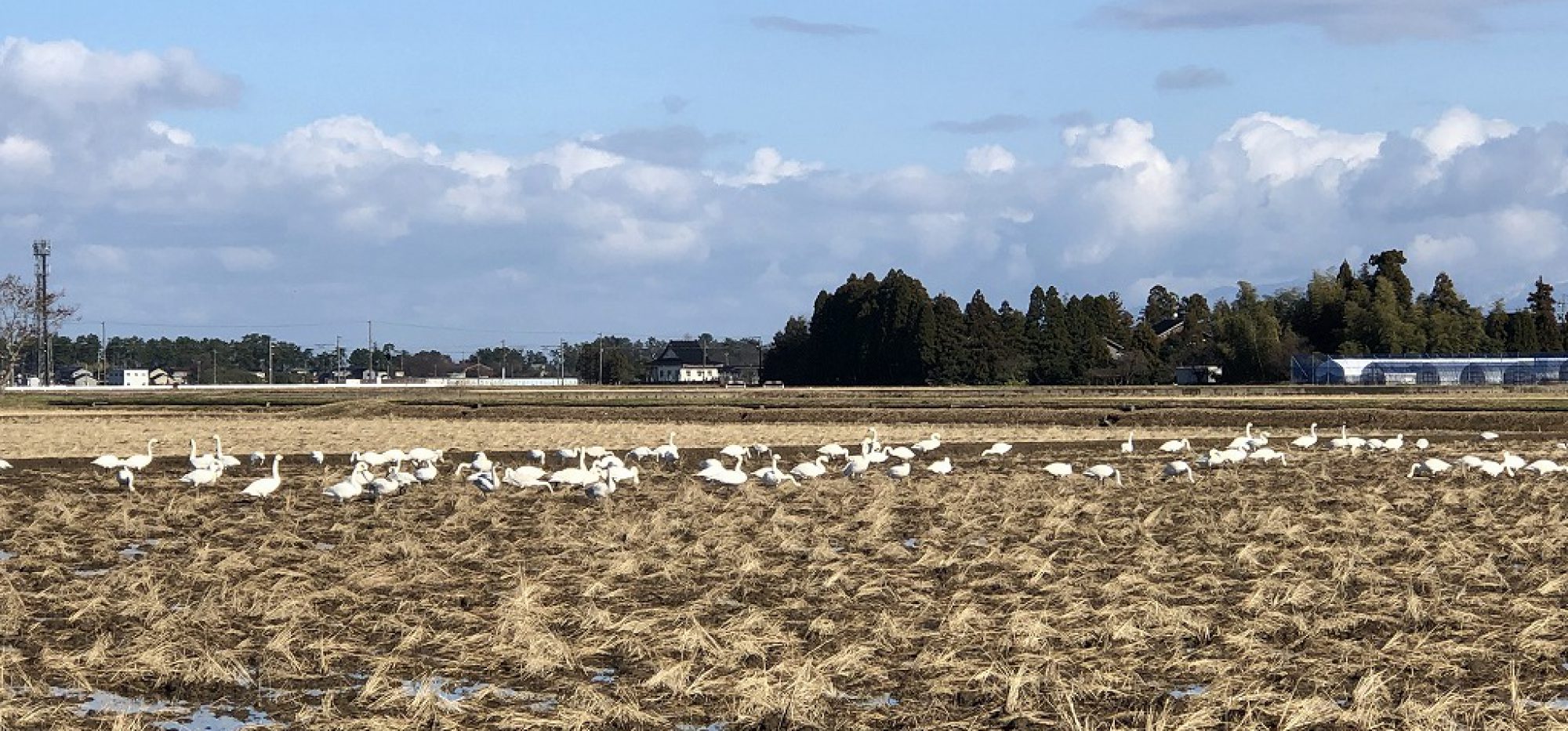 富山県障害者スポーツ協会